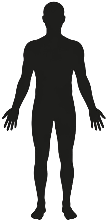 Pose guide silhouette