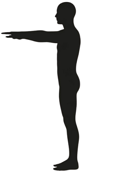 Pose guide silhouette