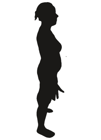 Pose guide silhouette